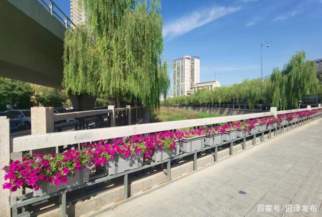 橋梁內(nèi)沿架設花箱案例介紹
