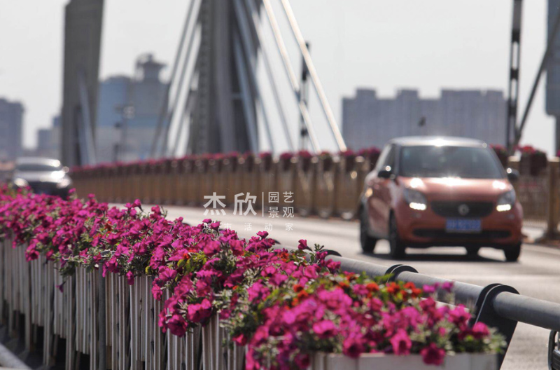 花箱尺寸如何確定？